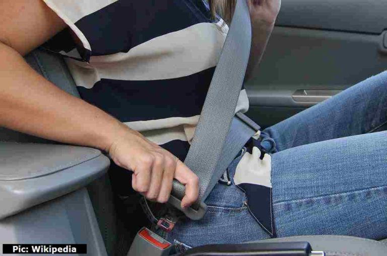 Seat belt in Shimla